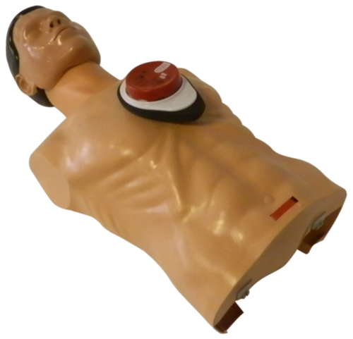 Schiller Cardio First Angel
