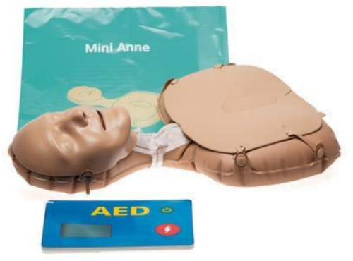 Laerdal Mini Anne Global (1-pack)